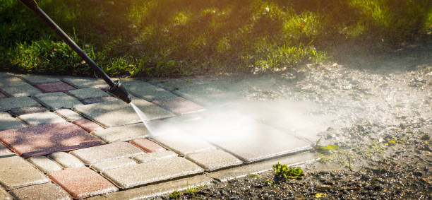 Animal Enclosure Cleaning in Nephi, UT
